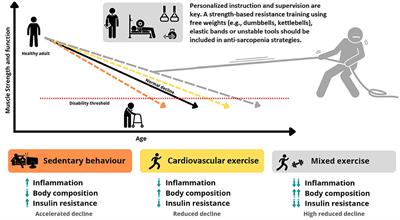 Strength training in elderly: An useful tool against sarcopenia